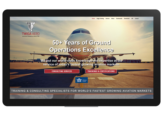 Maurizio Anichini Website