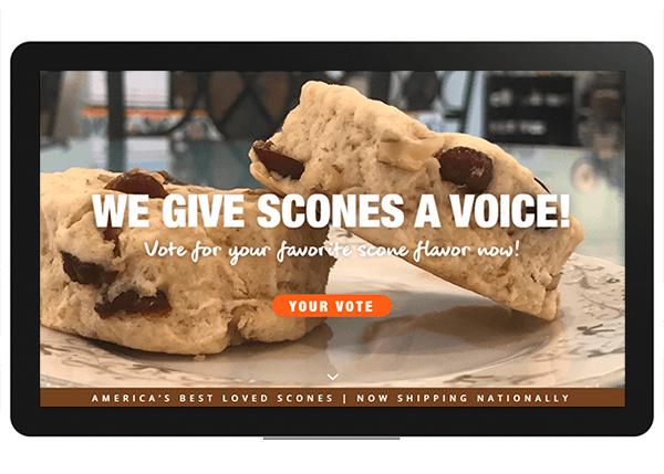 Erika Shanoff Landing Page