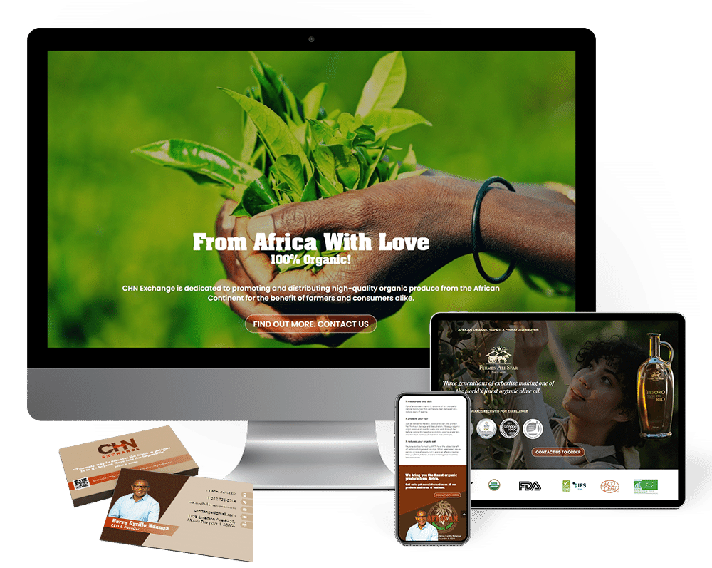 Herve Cyrille Ndanga - Portfolio